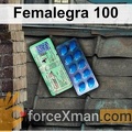 Femalegra 100 339