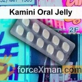 Kamini Oral Jelly 099