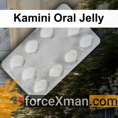 Kamini Oral Jelly 312