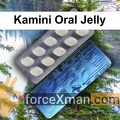 Kamini Oral Jelly 559