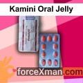 Kamini Oral Jelly 587