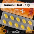 Kamini Oral Jelly 816