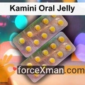 Kamini Oral Jelly 860