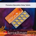 Premature Ejaculation Delay Tablets 311